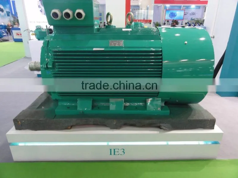 OEM Cast Iron/Aluminum Housing Three Phase/Single Phase Electric Motor