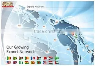 General Fan Company (private) Limited company overview - view 3