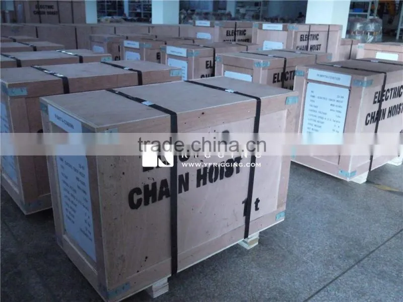 Heavy Duty Electric Chain Hoist
