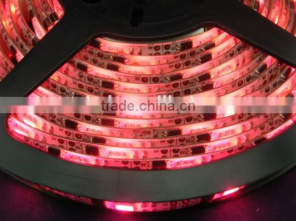 Waterproof IP65 silicon coating 32LEDs/m DC5V input addressable magic full color ws2801 digital LED tape