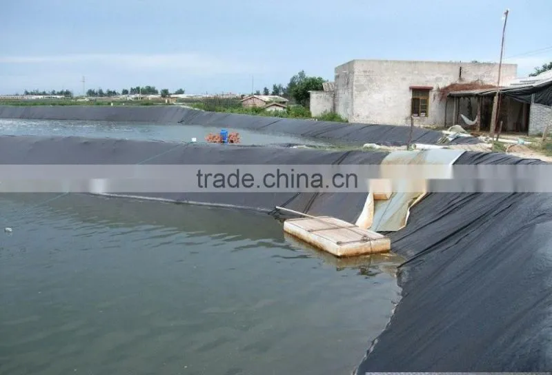 Hdpe Geomembrane/ Black Plastic Sheeting