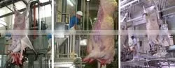 donkey slaughterhouse line donkey Pneumatic (Air-operated drive) Lifting Platform, Pneumatic Elevator donkey slaughter line