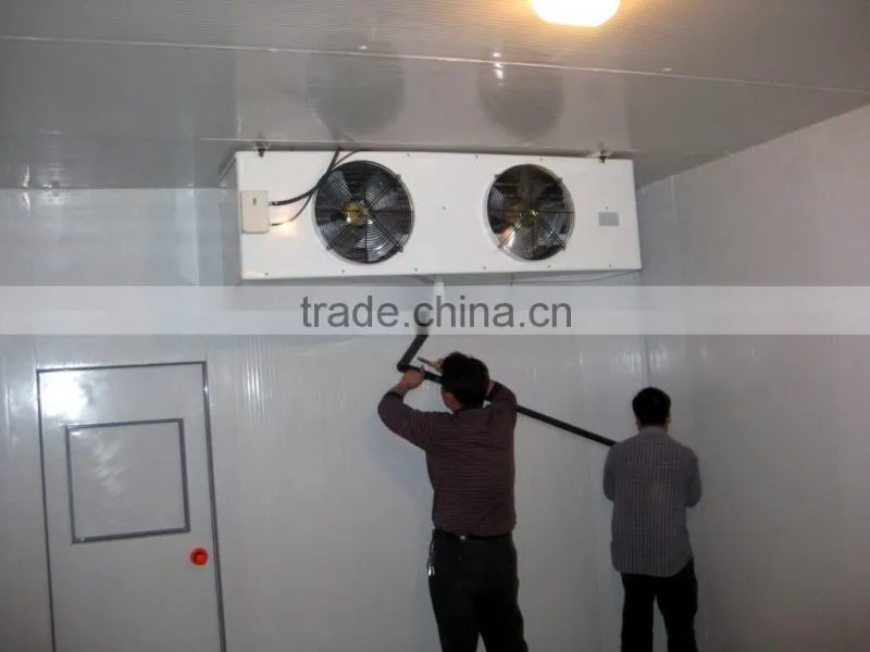 customized flower cold room freezer
