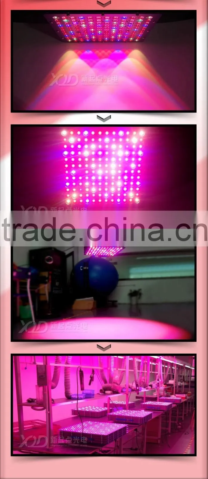 cheapest led grow lamp 300w smart control wavelength full spectrum grow light