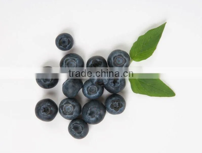100%Natural Fruit Extract ,Blueberry Powder