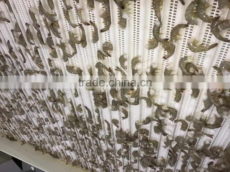 Top quality seafood headless vannamei shrimp