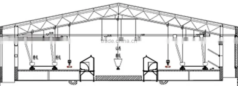 Automatic nest system/auto nest system/Poultry equipment/egg picking system/chicken nest/Manual egg collection box