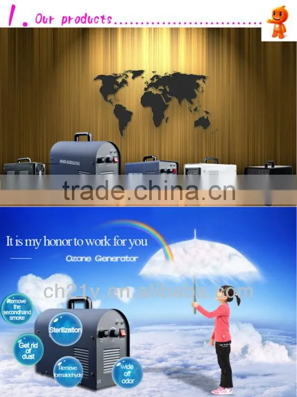 Hot! 2g ceramic ozone generator for drinking water