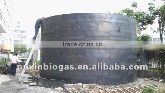 Low cost and big size PUXIN biogas plant for electricity generation