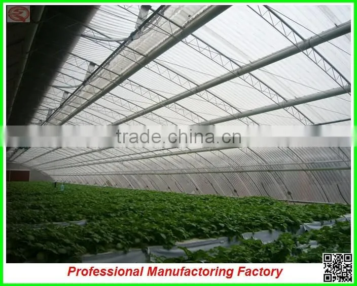 large size UV coating polycarbonate greenhouses for garden/vegetable/flower
