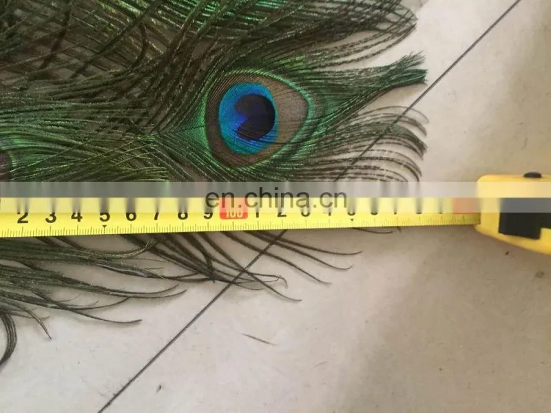 170cm five lines wholesale natural peacock feather wooden fan for party