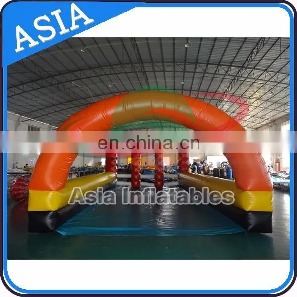 Commercial grade pvc inflatable pony hops /hippity hops bouncer