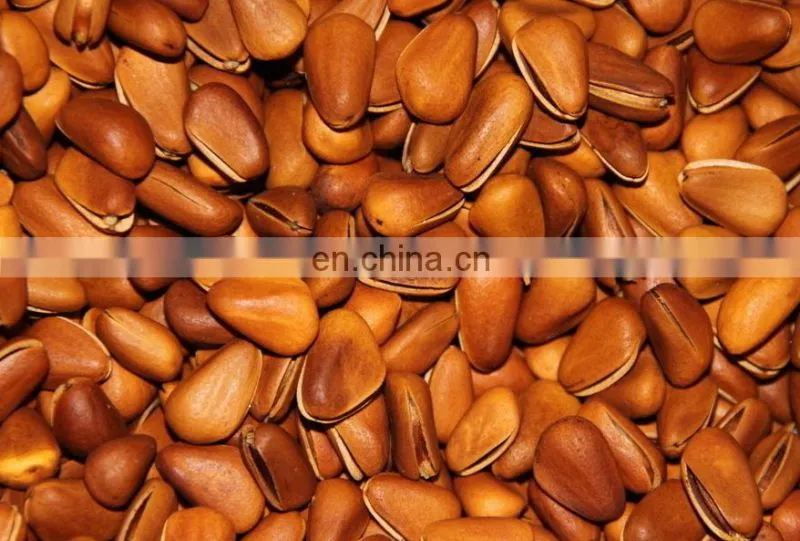 Pine cone processing machine | pine cone nuts sheller /shelling machine/ pinecone peeling machine