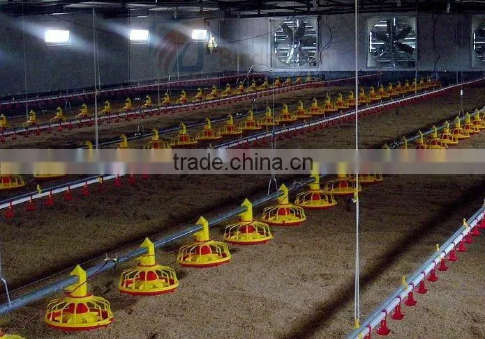 birdsitter chicken farming automatic poultry equipment suppliers