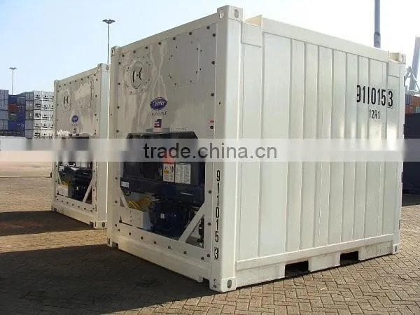 10'ft Offshore Reefer Container with Carrier Refrigerator Unit