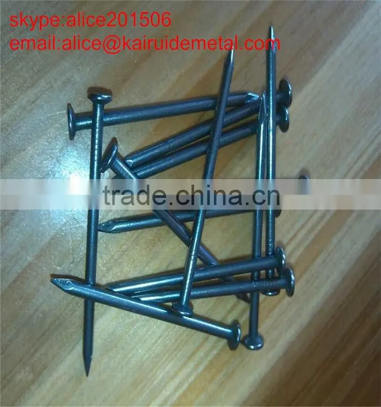 competitive price all size of common nail from common iron wire nail factory