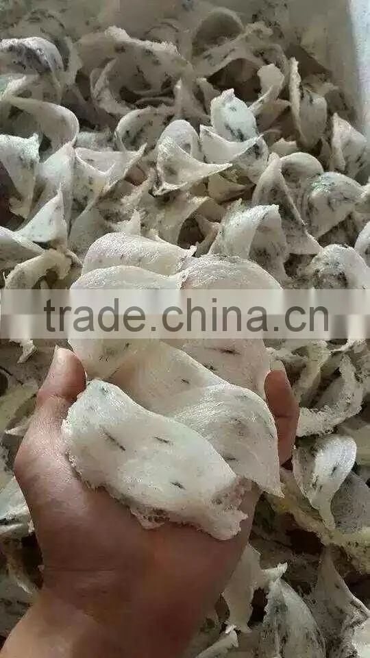 100% Pure Unprocessed Bird Nest