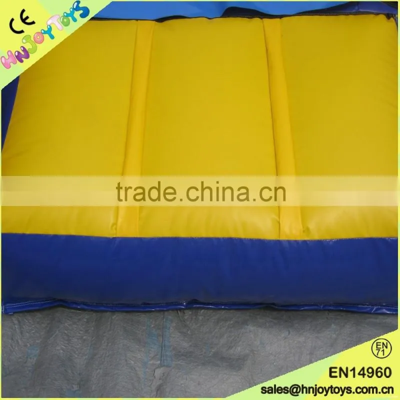 4X4X2.5M Dog Inflatable Bouncer Fun City Bouncing Castle with Slide