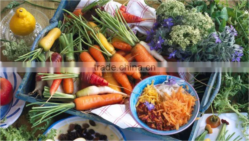 fruit dehydrator for home use