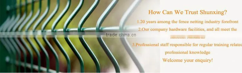 Hot sales 3d Cheap Wire Mesh Panel Wall Fencing From Factory Directly