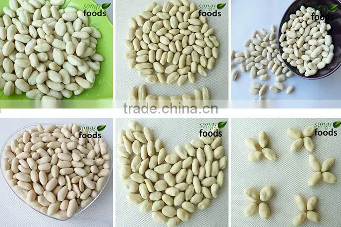 Blanched Peanut Kernels Best Quality And Hot Sell