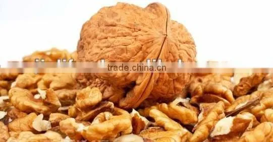 walnut kernel