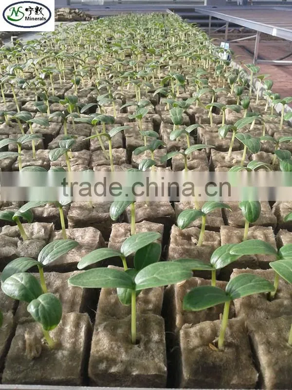 Agricultural rockwool cube/grow cube for plants growing
