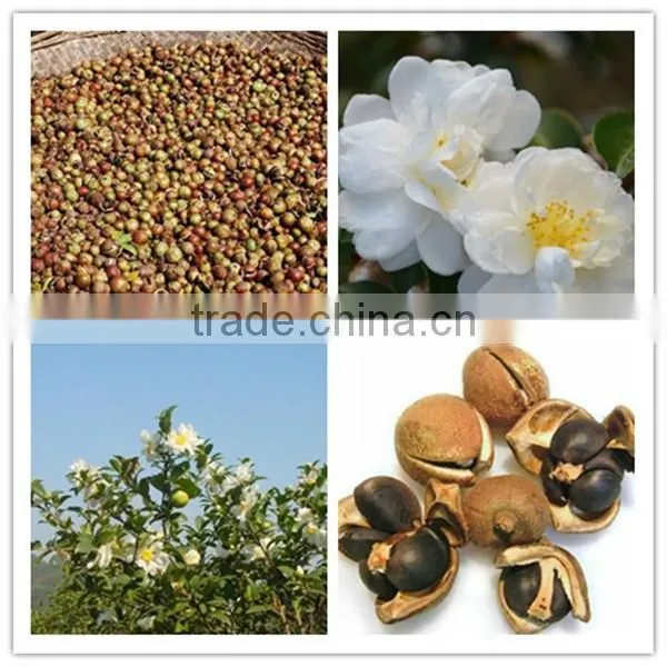 High quality Camellia seed oil physical cold pressed nutrition and health