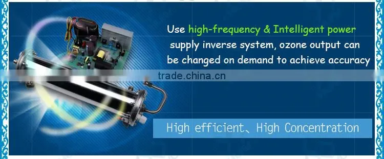 18g Corona discharge enamel adjustable ozone generator spare parts / ozone plate