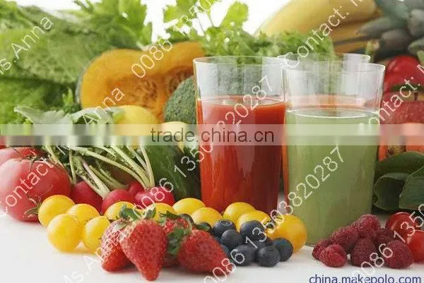 mango juice processing machine mango juice extractor machine 0086-13503820287