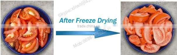 Easy used freeze drying fruit machine