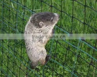 Plant Support, Flower Support Netting