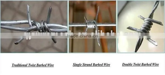 high quality antique barbed wire for sale / 12#*14# galvanized barbed wire