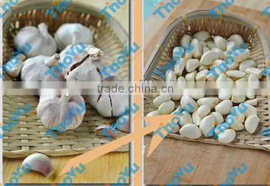 Garlic skin removing machine - for garlic and Shallot SMS:0086-15238398301