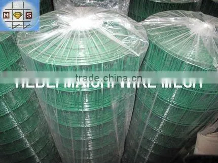 Welded Wire Mesh/Galvanized Welded Wire Mesh