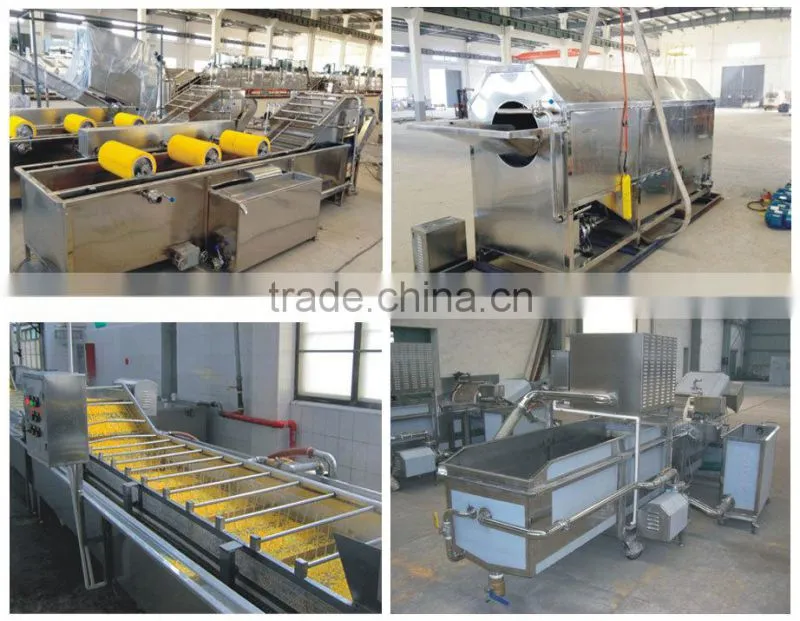 equipment from Guanfeng Food Machinery vegetables drying line
