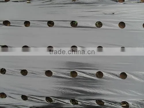 plastic agricultural film with 4.5cm holes
