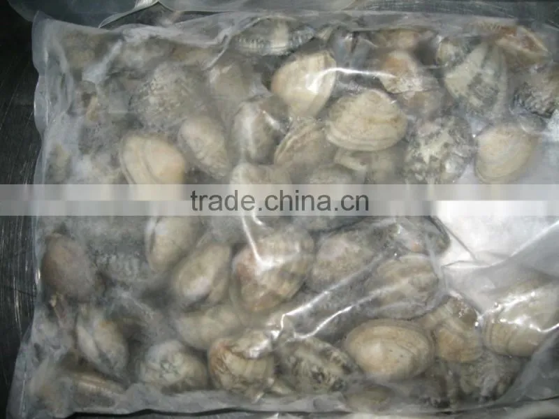 raw frozen short necked clam