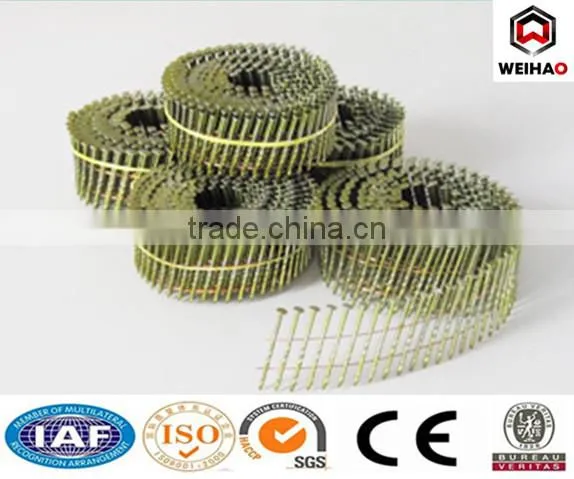 galvanized wire coil nails iron nail steel nail roofing nail
