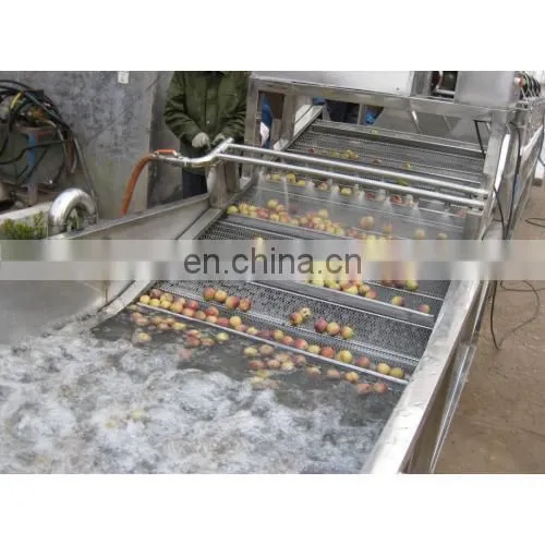 Potato Washing and sorting Machine