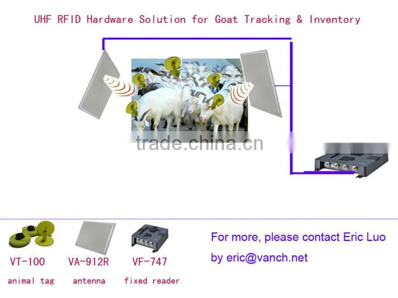 UHF RFID ear tag for cow tracking