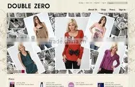 Professional B2B B2C C2C website design