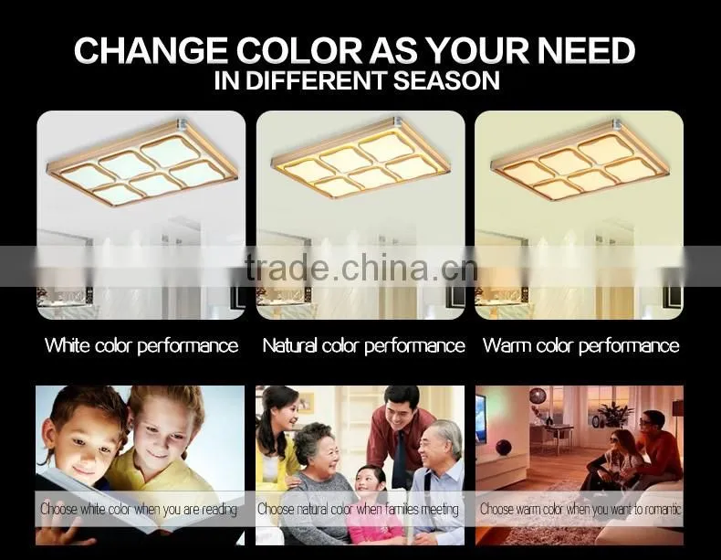 2016 new design led ceiling lamp contemporary ceiling lighting 30W