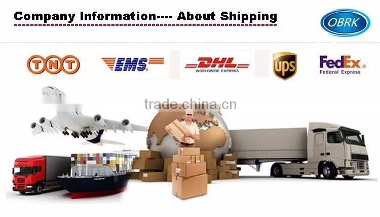 2 Ton CE professional Shop Crane