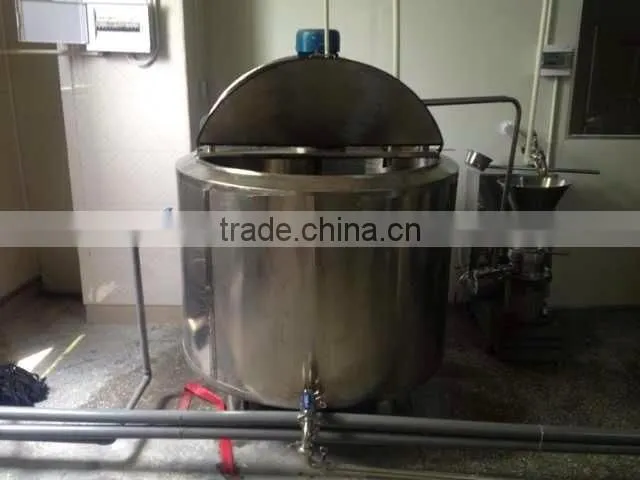 Berry Cream Ice Cream Making Equipment