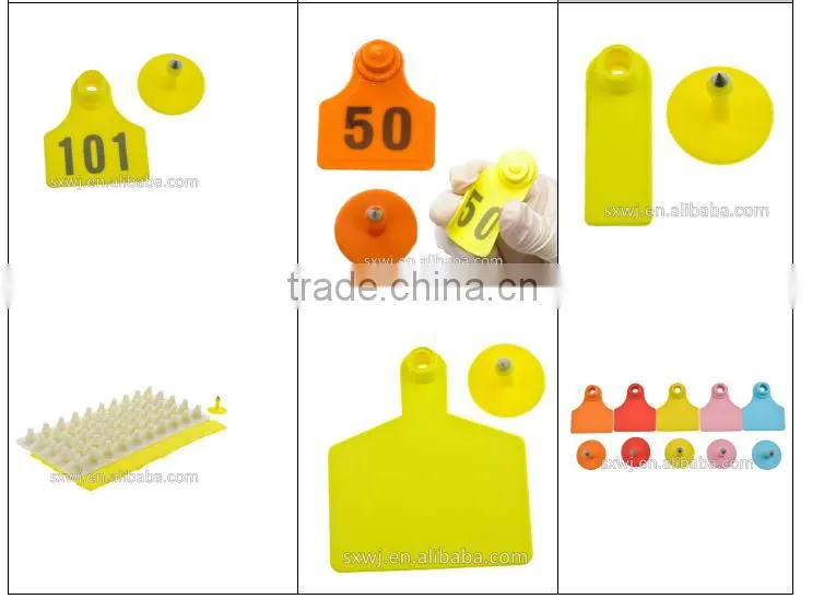 Special needle for veterinary medicine