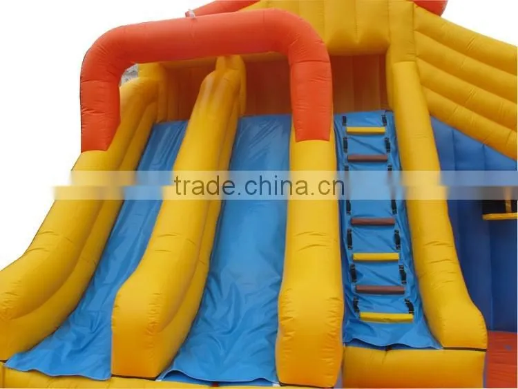 giant inflatable water slide for adults , large screamer water slide with pool for sale