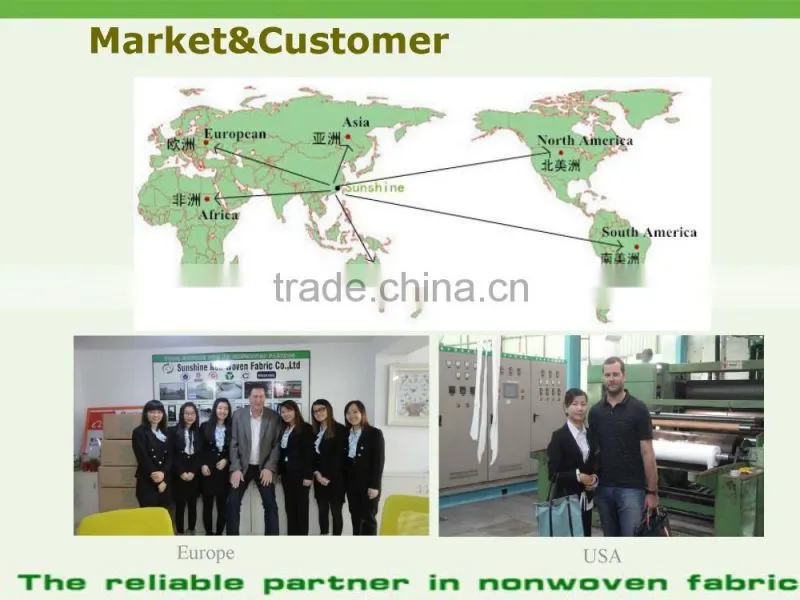 Weed Control Fabric, Ground Cover, PP Spunbond Non woven Landscape Fabric
