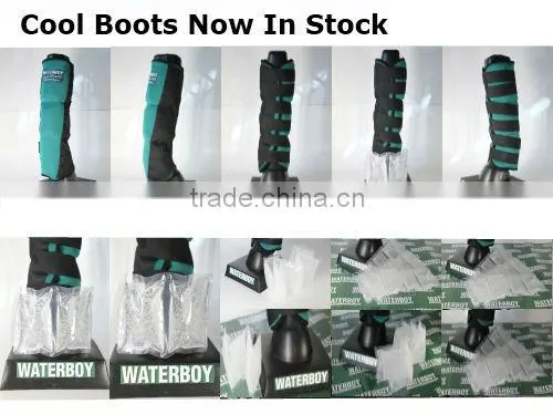 horse ankle boots