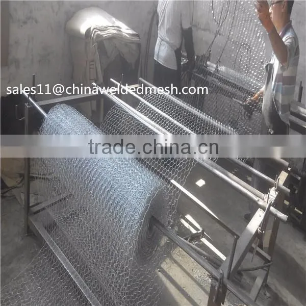 Best Price Hexagonal Mesh from Anping factory